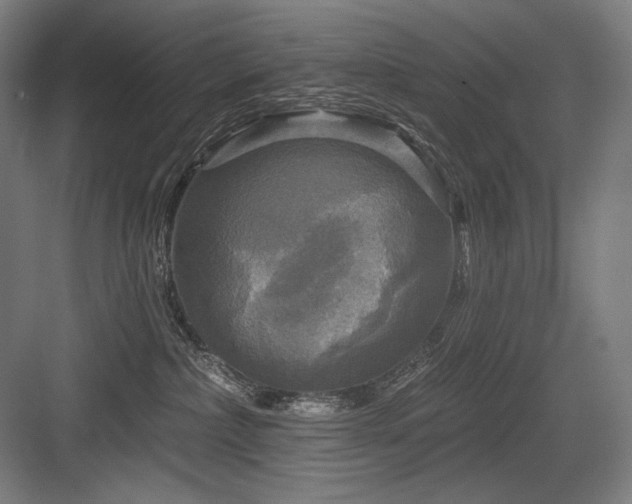 X0000083650236200702121158