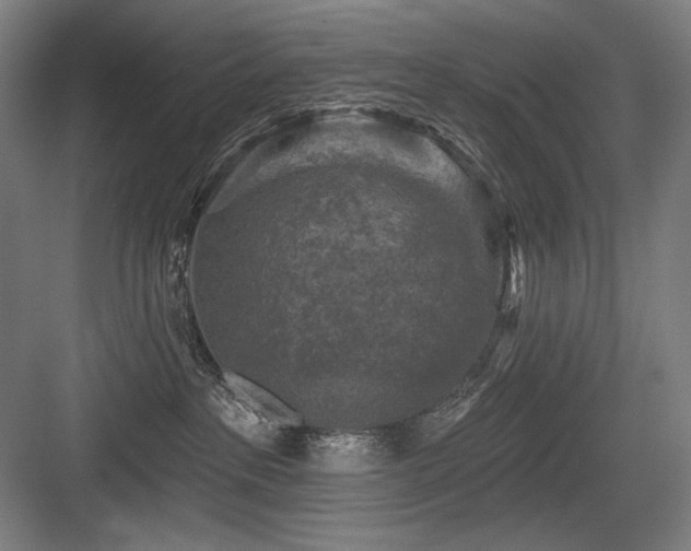 X0000083650237200702121158