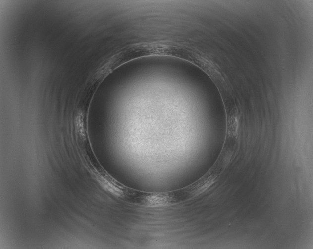 X0000083650238200702121158