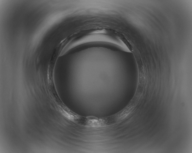 X0000083650239200702121158
