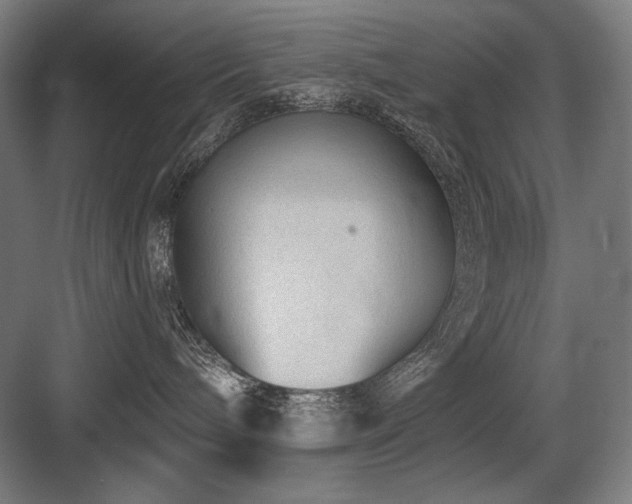 X0000083650240200702121158