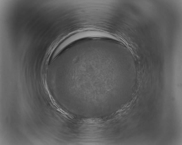 X0000083650241200702121157
