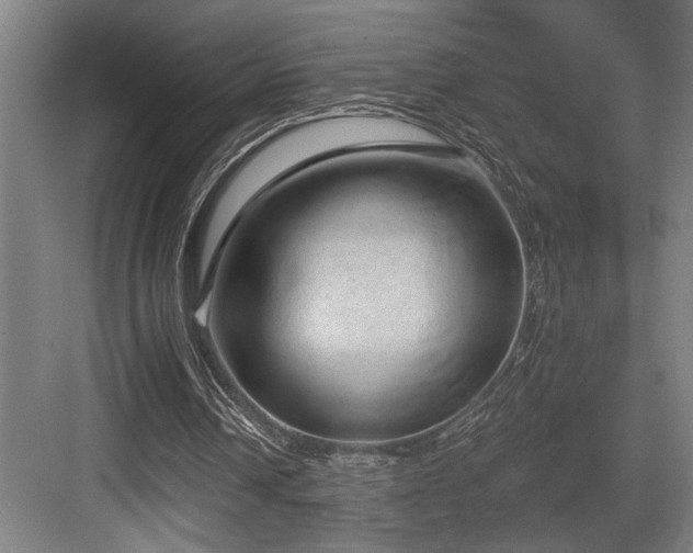 X0000083650242200702121157