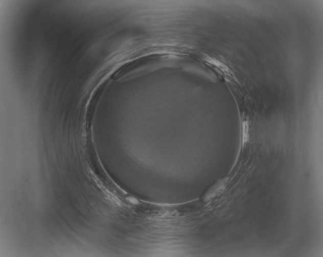 X0000083650243200702121157