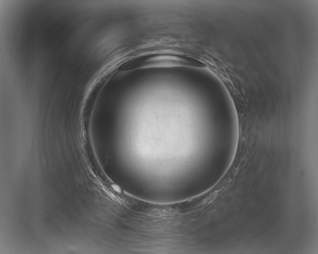 X0000083650245200702121157