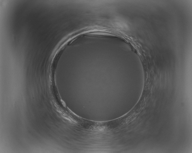 X0000083650247200702121157