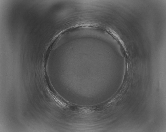 X0000083650249200702121157