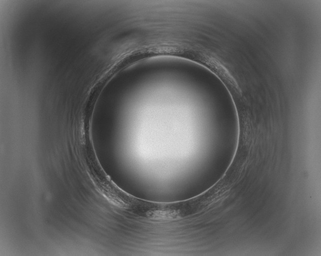 X0000083650251200702121157