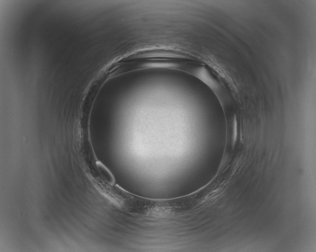 X0000083650252200702121157
