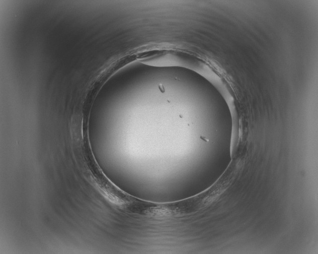 X0000083650253200702121157