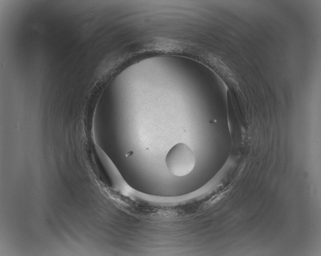 X0000083650256200702121157