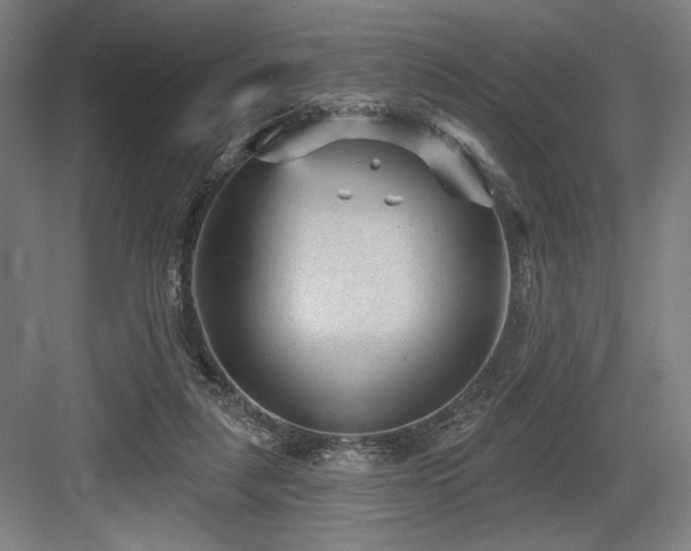 X0000083650259200702121157