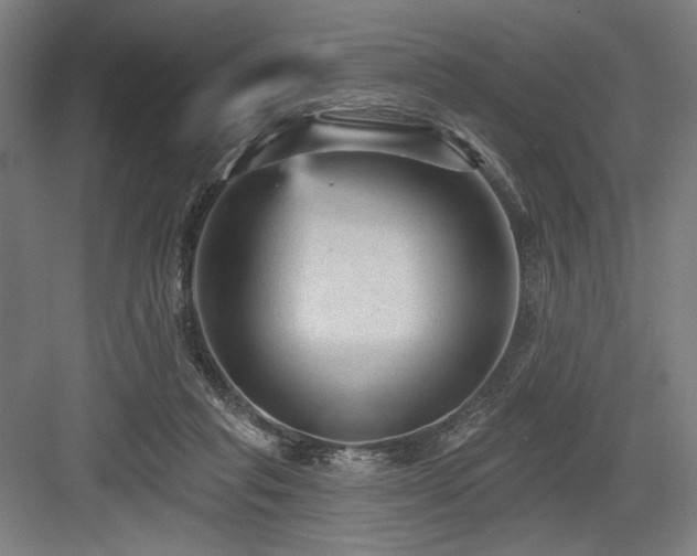 X0000083650261200702121157