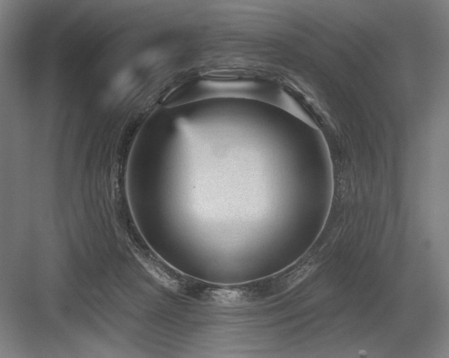 X0000083650265200702121157