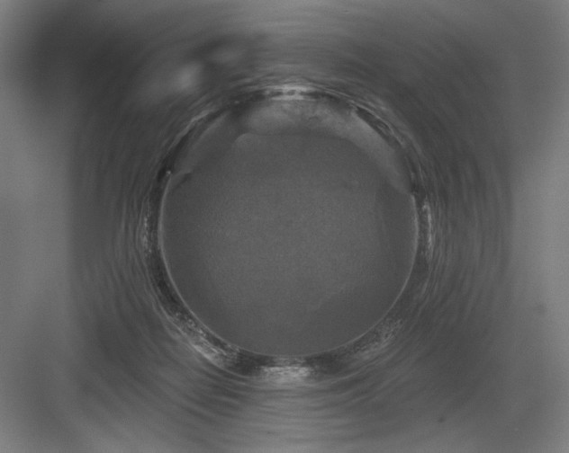 X0000083650266200702121157