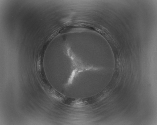 X0000083650267200702121157
