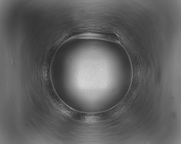 X0000083650268200702121157