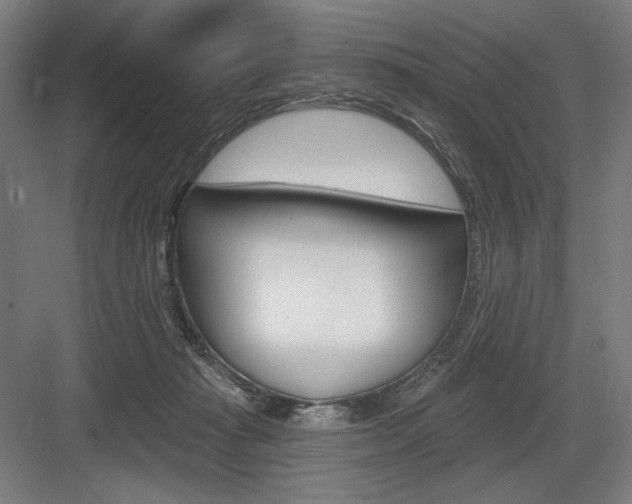 X0000083650269200702121158