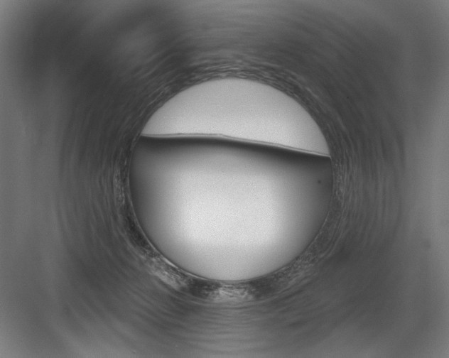 X0000083650270200702121158