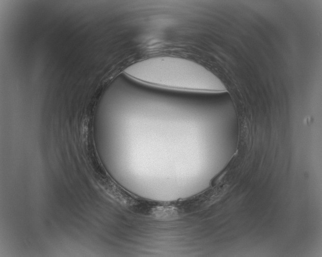 X0000083650271200702121158