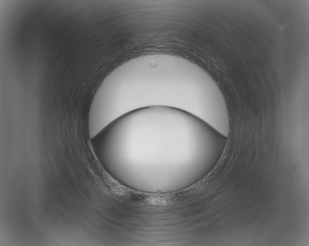 X0000083650272200702121158