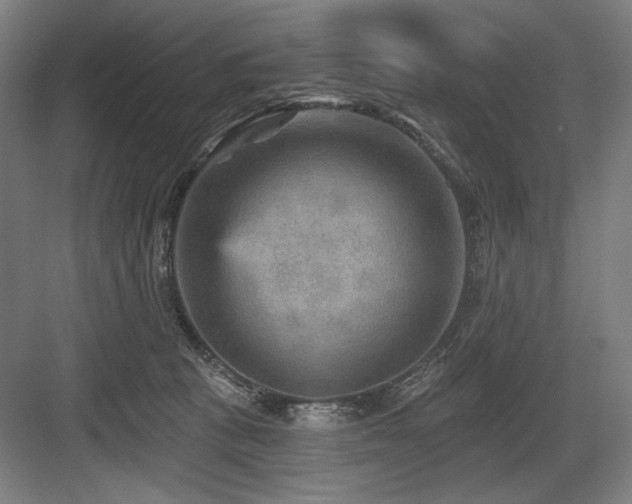 X0000083650273200702121158