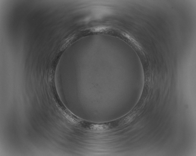 X0000083650277200702121158