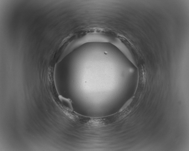 X0000083650280200702121158