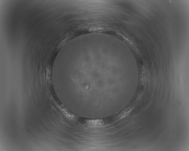 X0000083650281200702121158