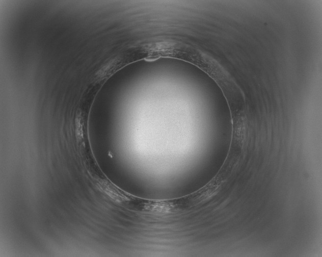 X0000083650282200702121158