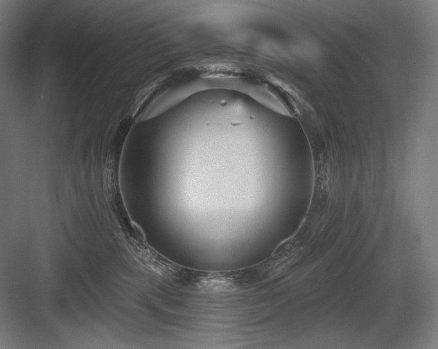 X0000083650283200702121158