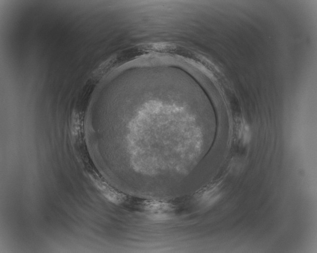X0000083650284200702121158