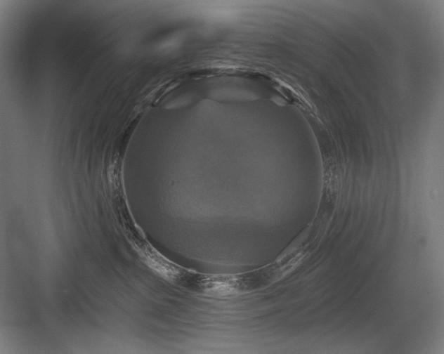 X0000083650285200702121158