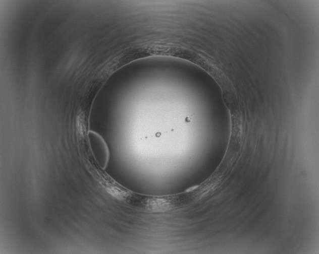 X0000083650287200702121158
