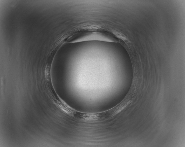 X0000083650288200702121158