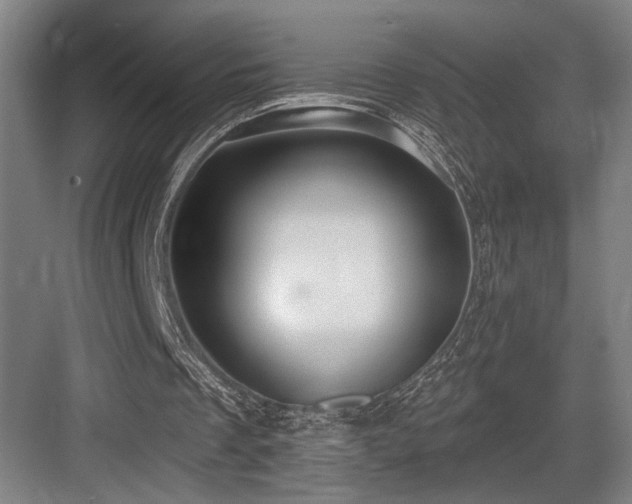 X0000083650289200702121157