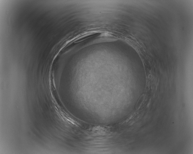 X0000083650290200702121157