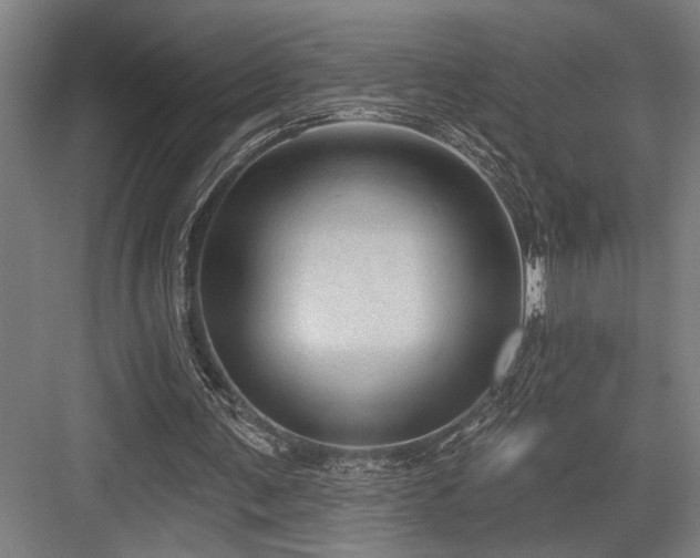 X0000083650291200702121157