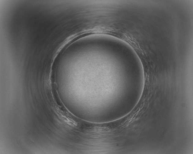 X0000083650292200702121157