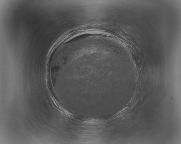 X0000083650293200702121157