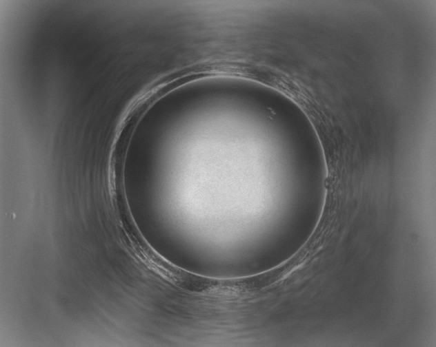 X0000083650294200702121157