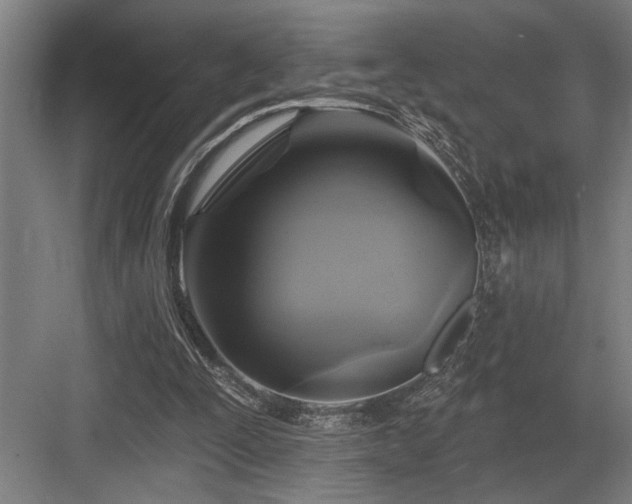 X0000083650295200702121157