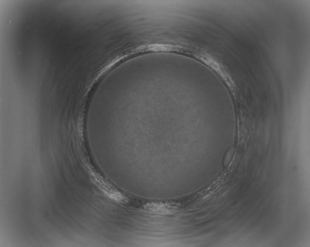 X0000083650297200702121157