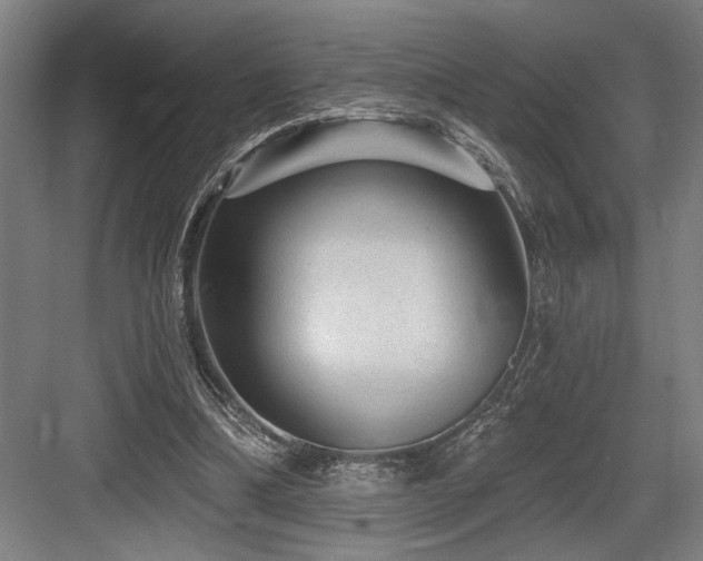X0000083650298200702121157