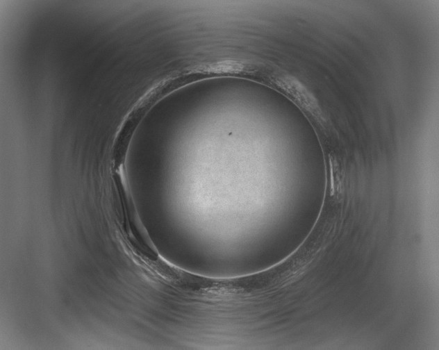 X0000083650300200702121157