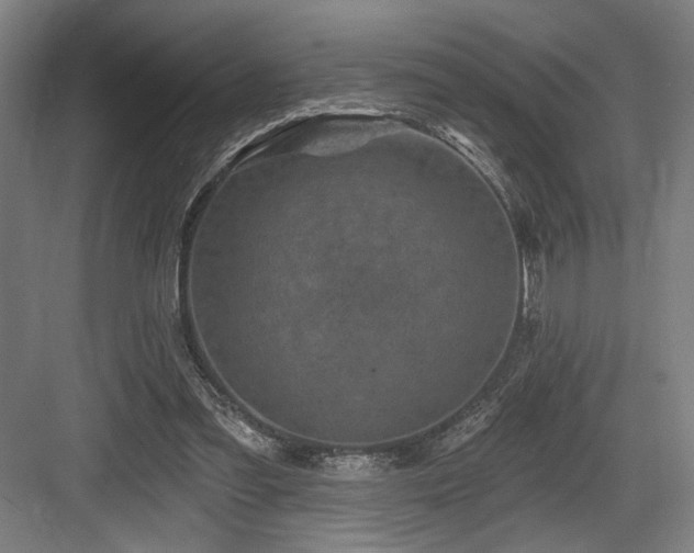 X0000083650301200702121157