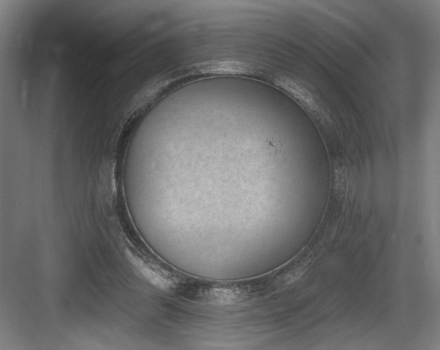 X0000083650302200702121157
