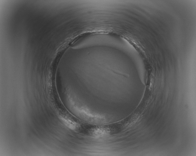 X0000083650303200702121157