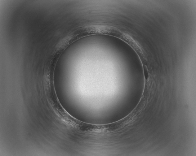 X0000083650306200702121157