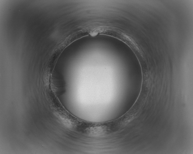 X0000083650307200702121157